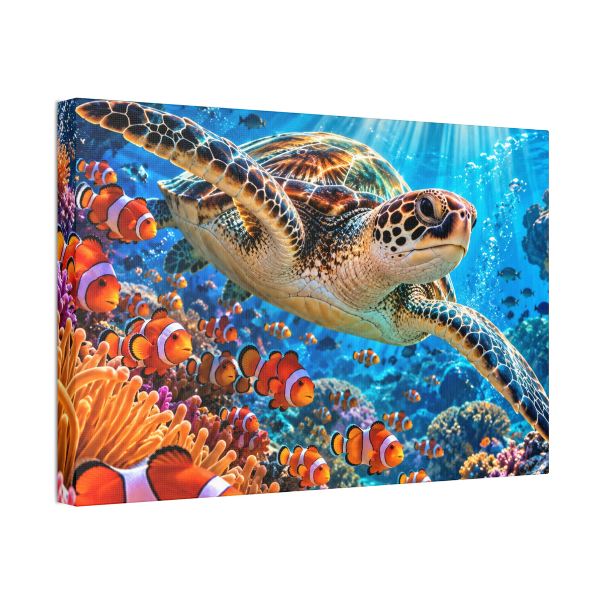 Sea Turtle Canvas Stretched 24x16, 1.5''